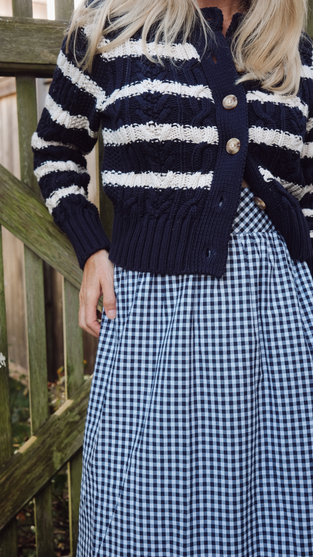 Charlotte Skirt - Navy Gingham