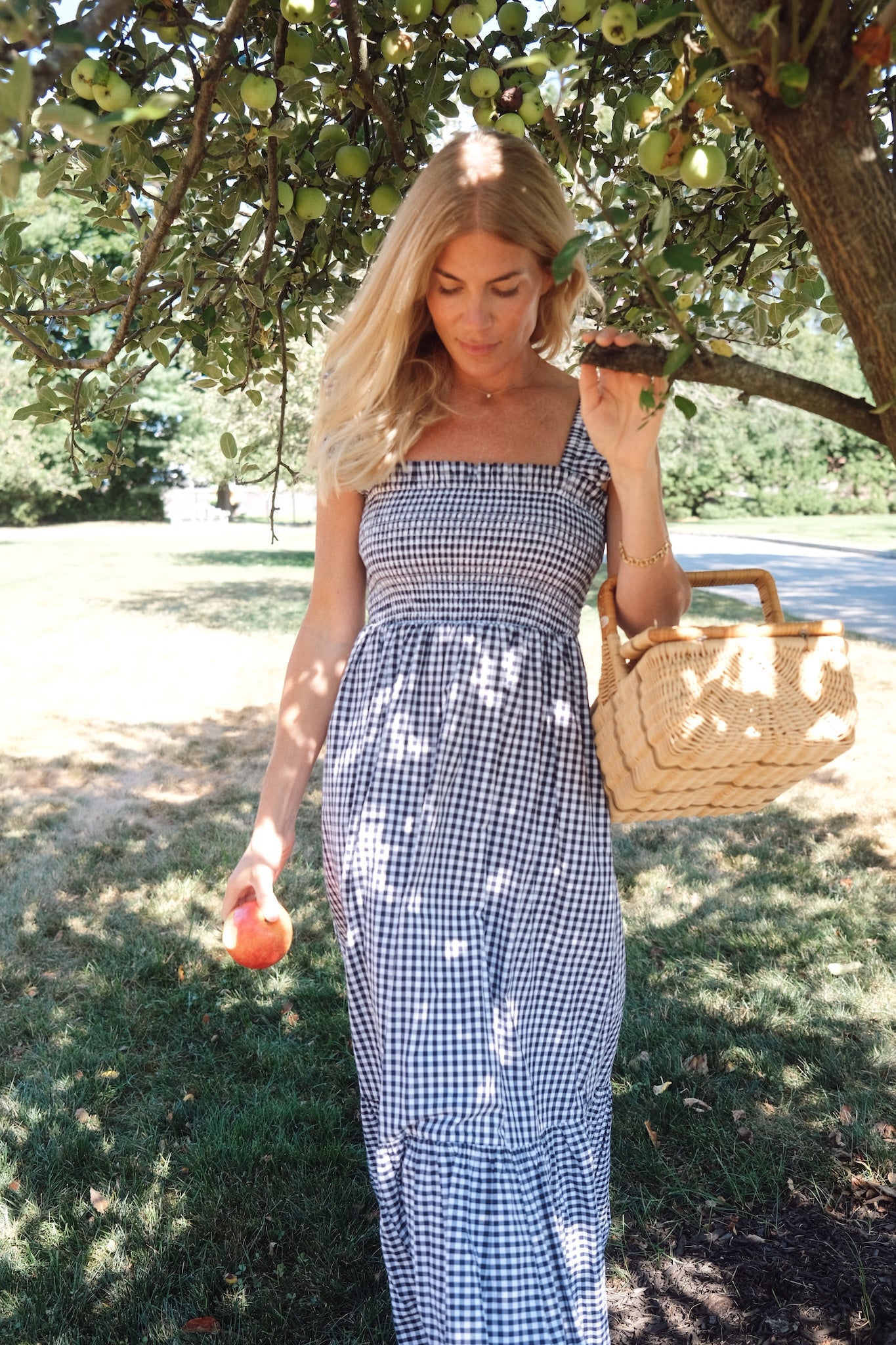 Sasco Dress - Navy Gingham
