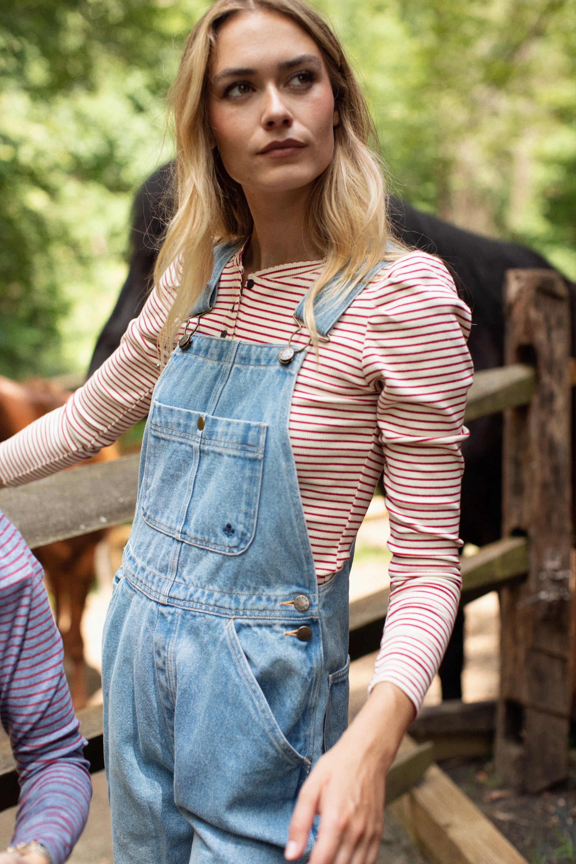 Puff Sleeve Henley - Ivory/Burgundy Stripe