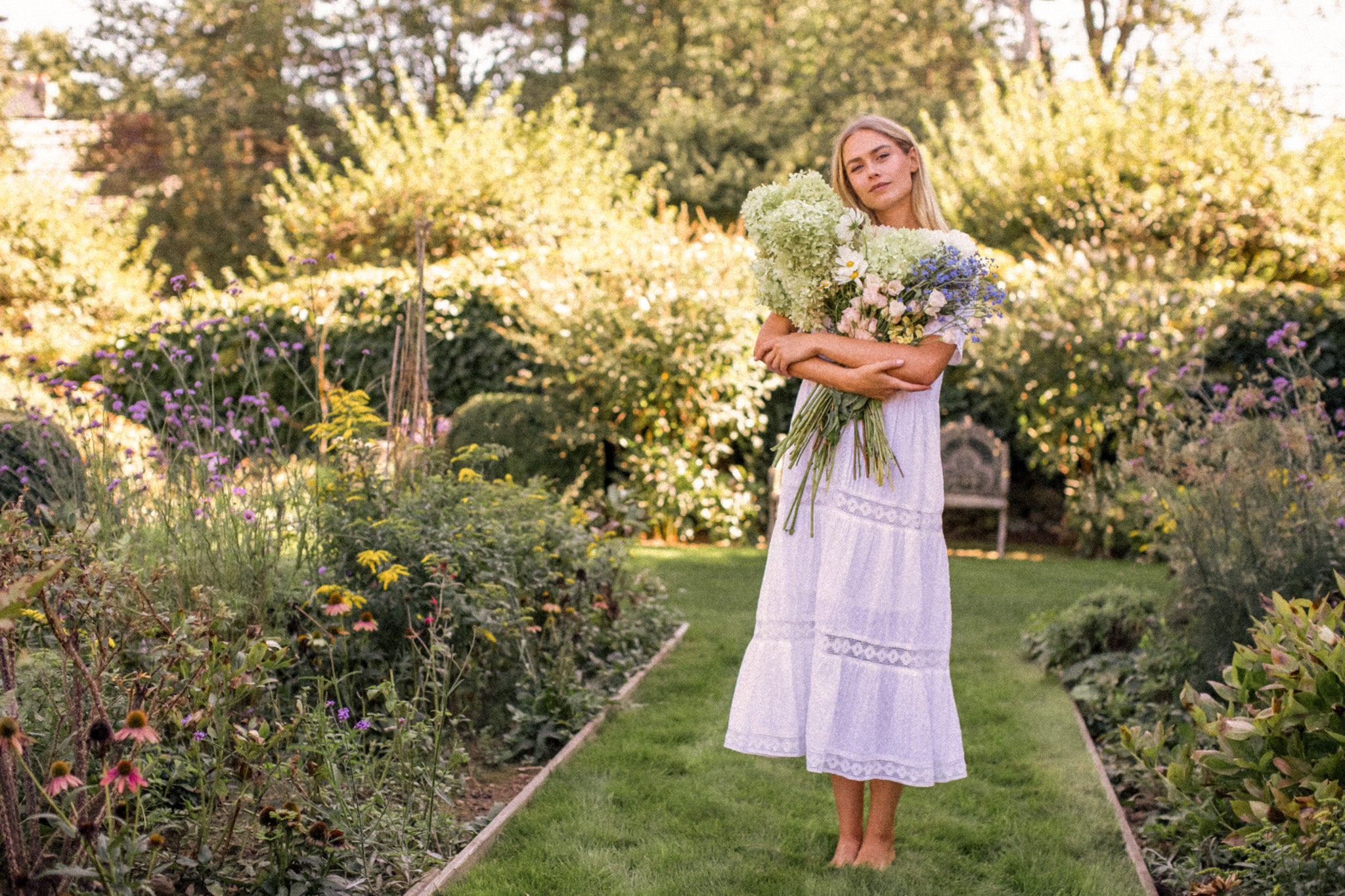 Desktop Banner Image